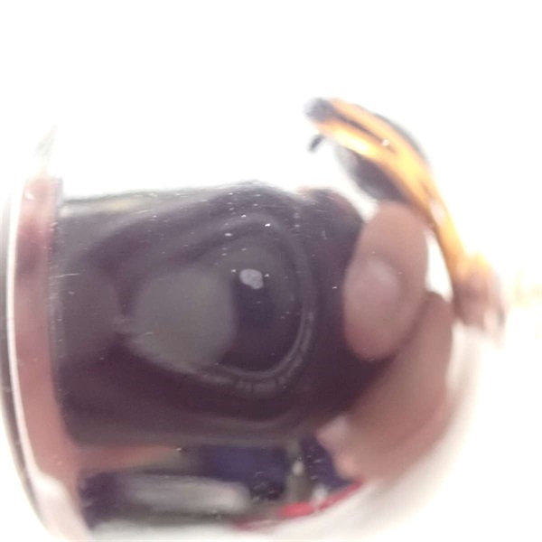 ２１バルケッタ３００ＰＧ
